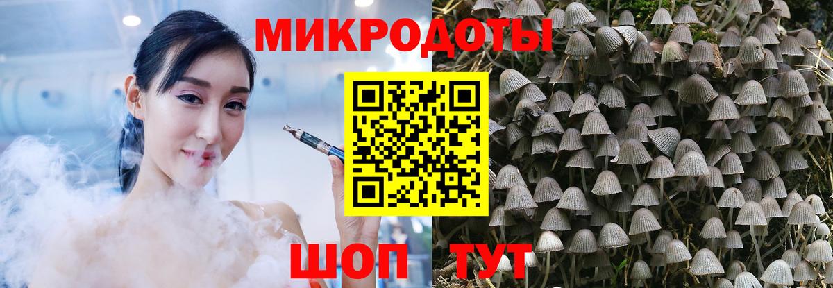 Галлюциногенные грибы Psilocybine cubensis Среднеуральск