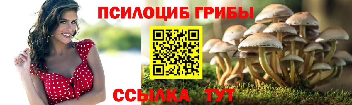 где найти наркотики  Псилоцибиновые грибы мухоморы  Вход с VPN  Среднеуральск 
